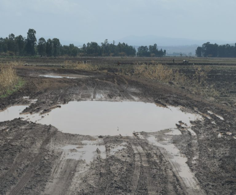 01 Mud Hole Water To Thrive